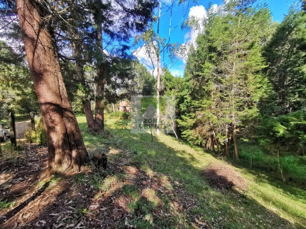 Bilde 3 av eiendommen som annonseres i Guarne