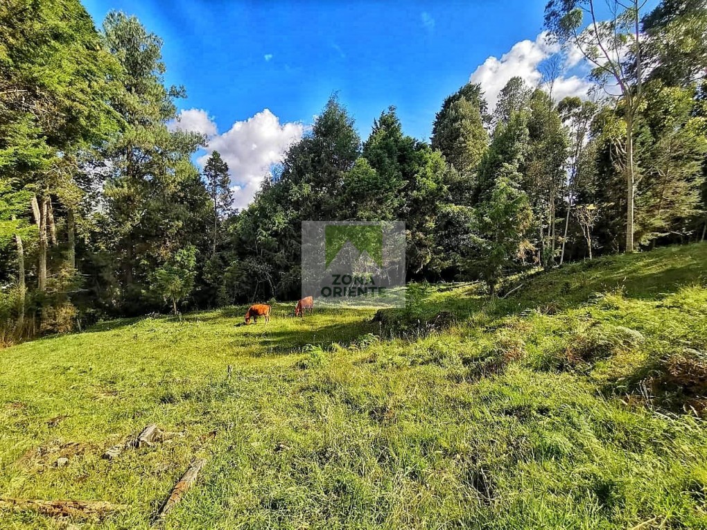 Bilde 1 av eiendommen som annonseres i Guarne