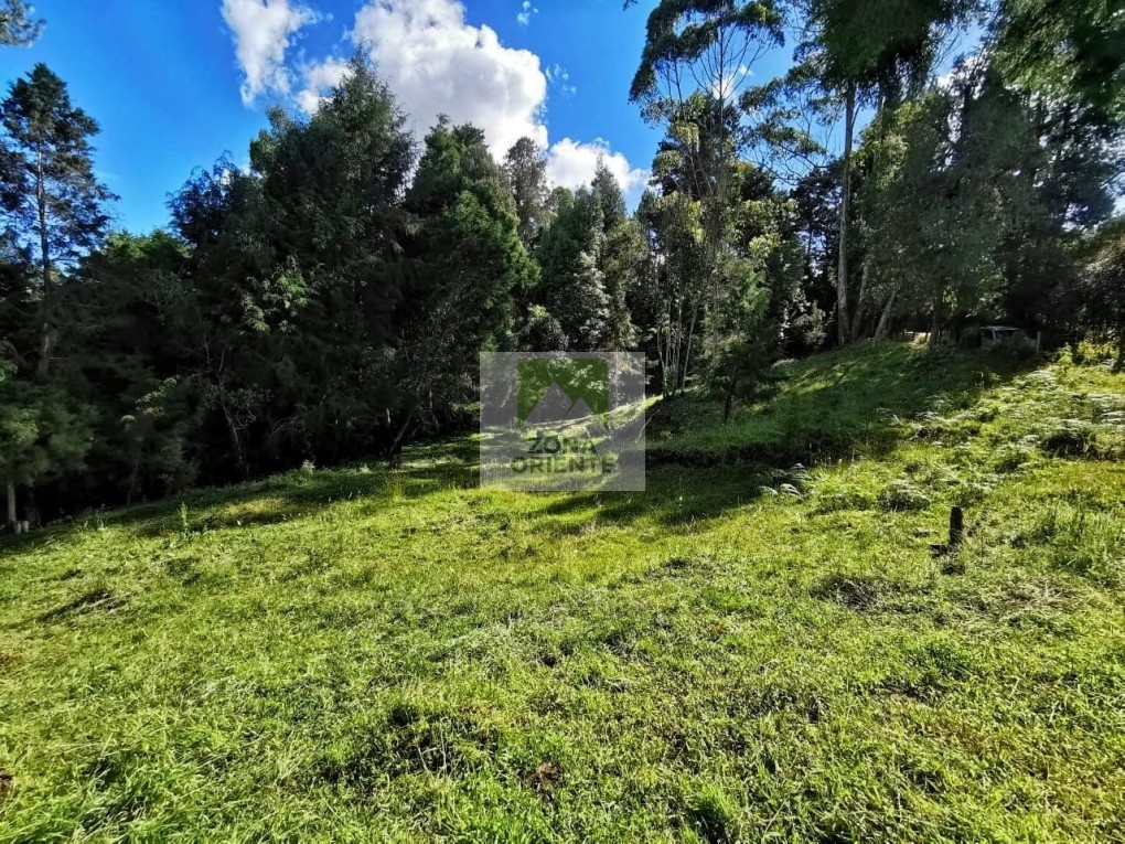 Bilde 2 av eiendommen som annonseres i Guarne