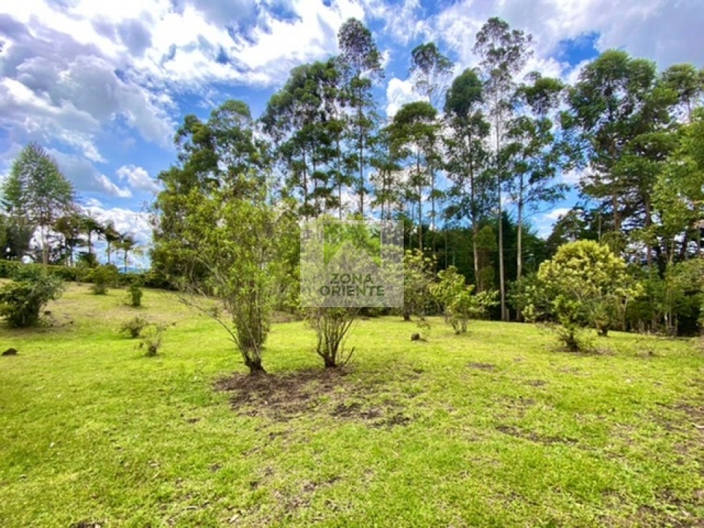 Bild 1 för fastigheten som annonseras i Rionegro