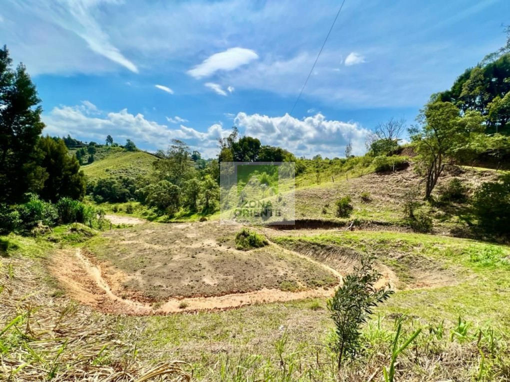 Bilde 2 av eiendommen som annonseres i Rionegro