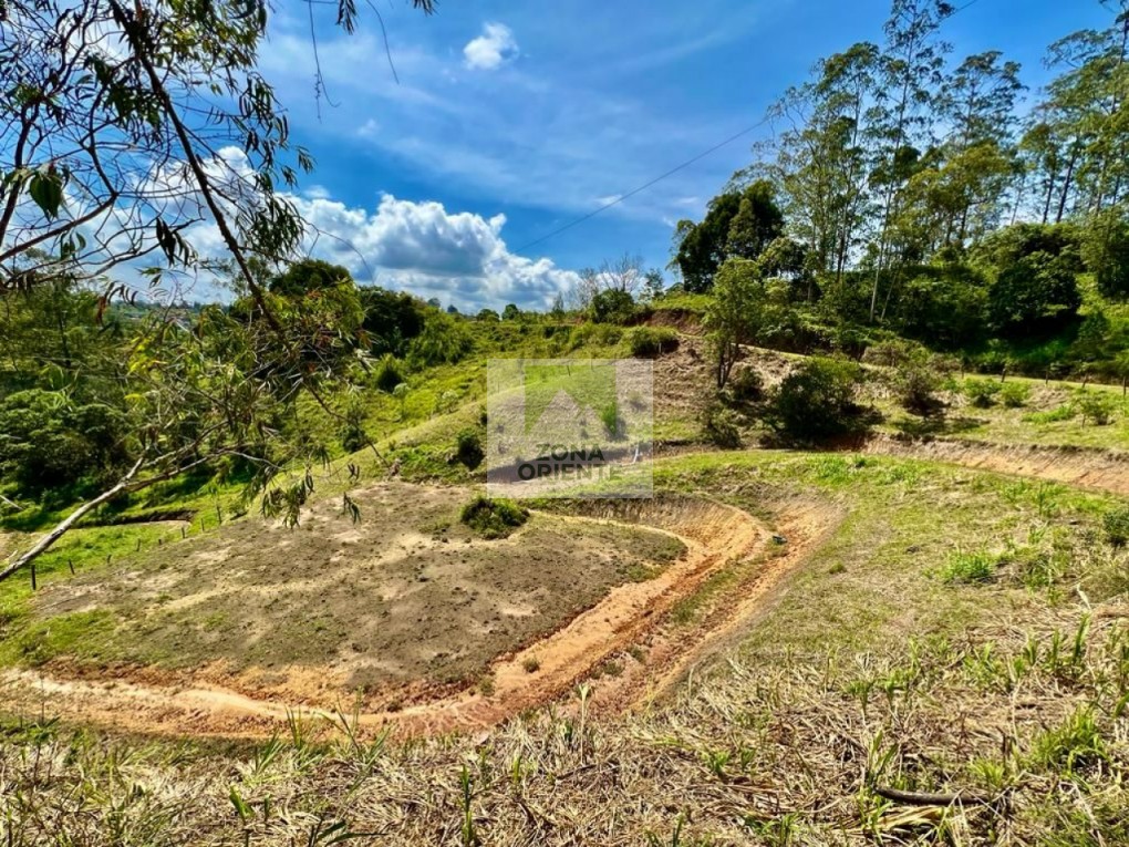 Bilde 3 av eiendommen som annonseres i Rionegro
