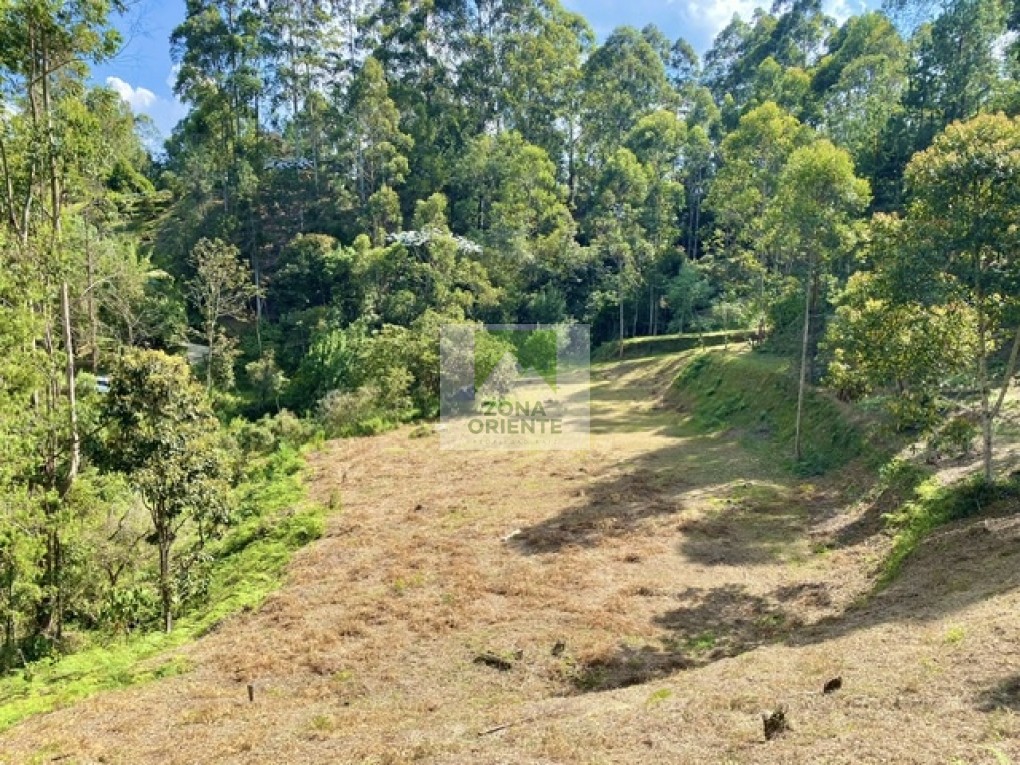 Image 2 du bien annoncé à Rionegro
