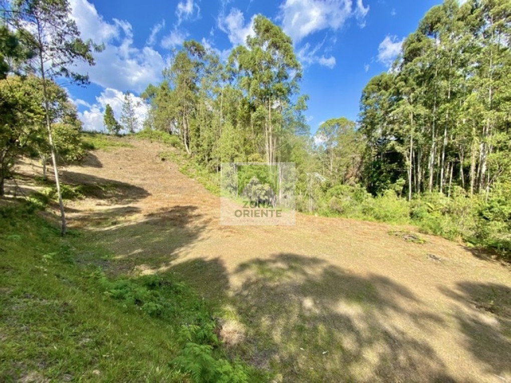 Image 3 du bien annoncé à Rionegro