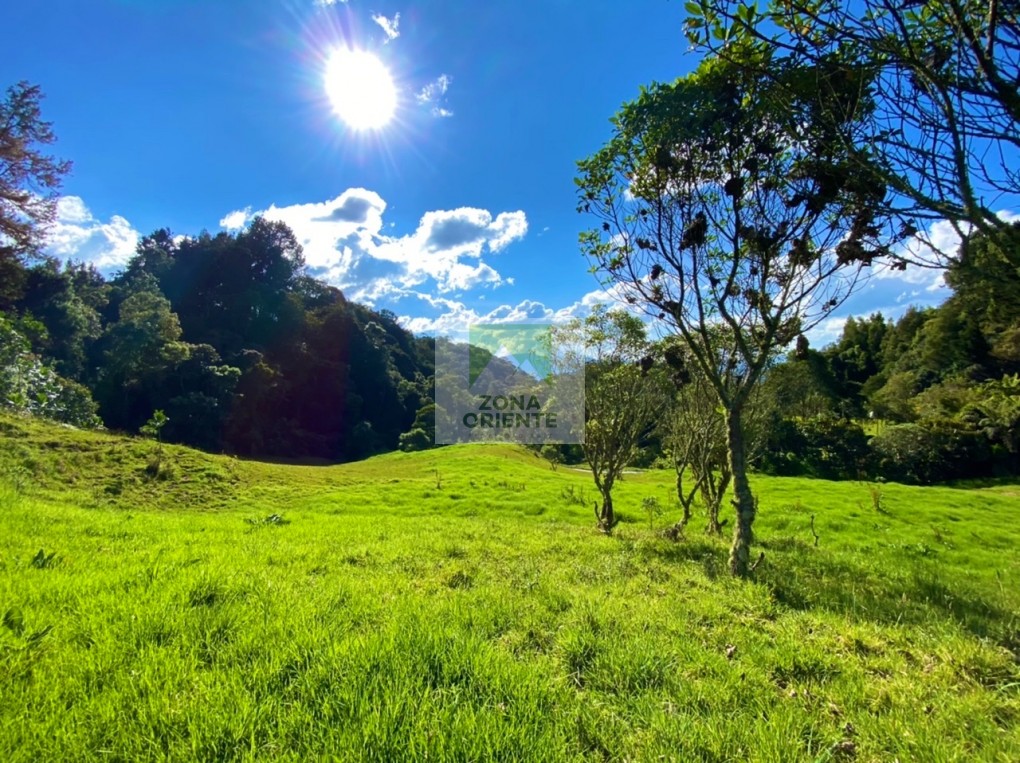 Imagem 2 do imóvel anunciado em Envigado