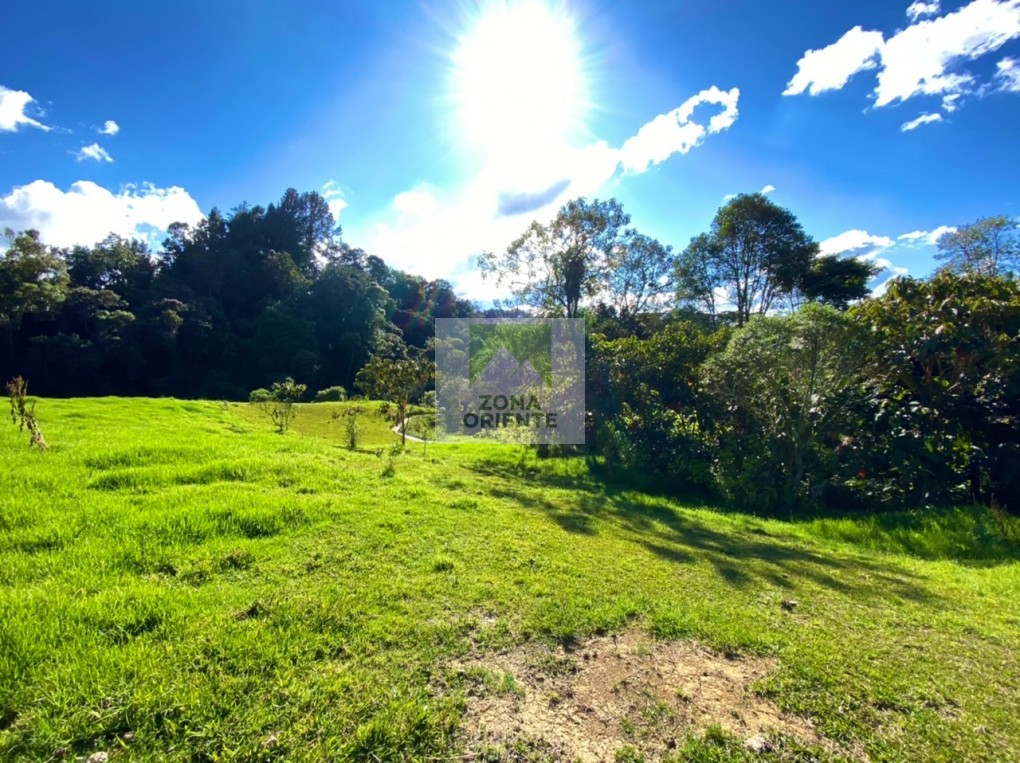 Imagem 3 do imóvel anunciado em Envigado
