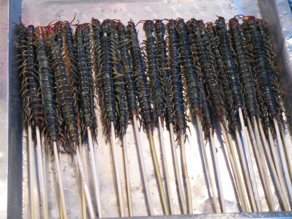 By Denise Chan from Hong Kong, China - Centipedes on a stick Uploaded by tomchen1989, CC BY-SA 2.0,