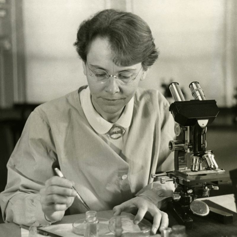 barbara mcclintock