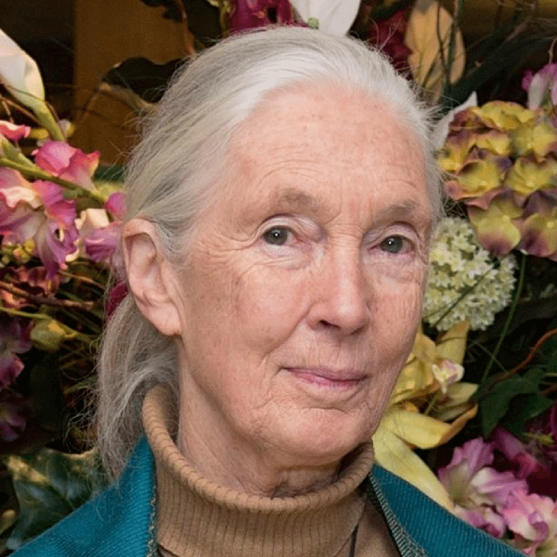 jane goodall women in science