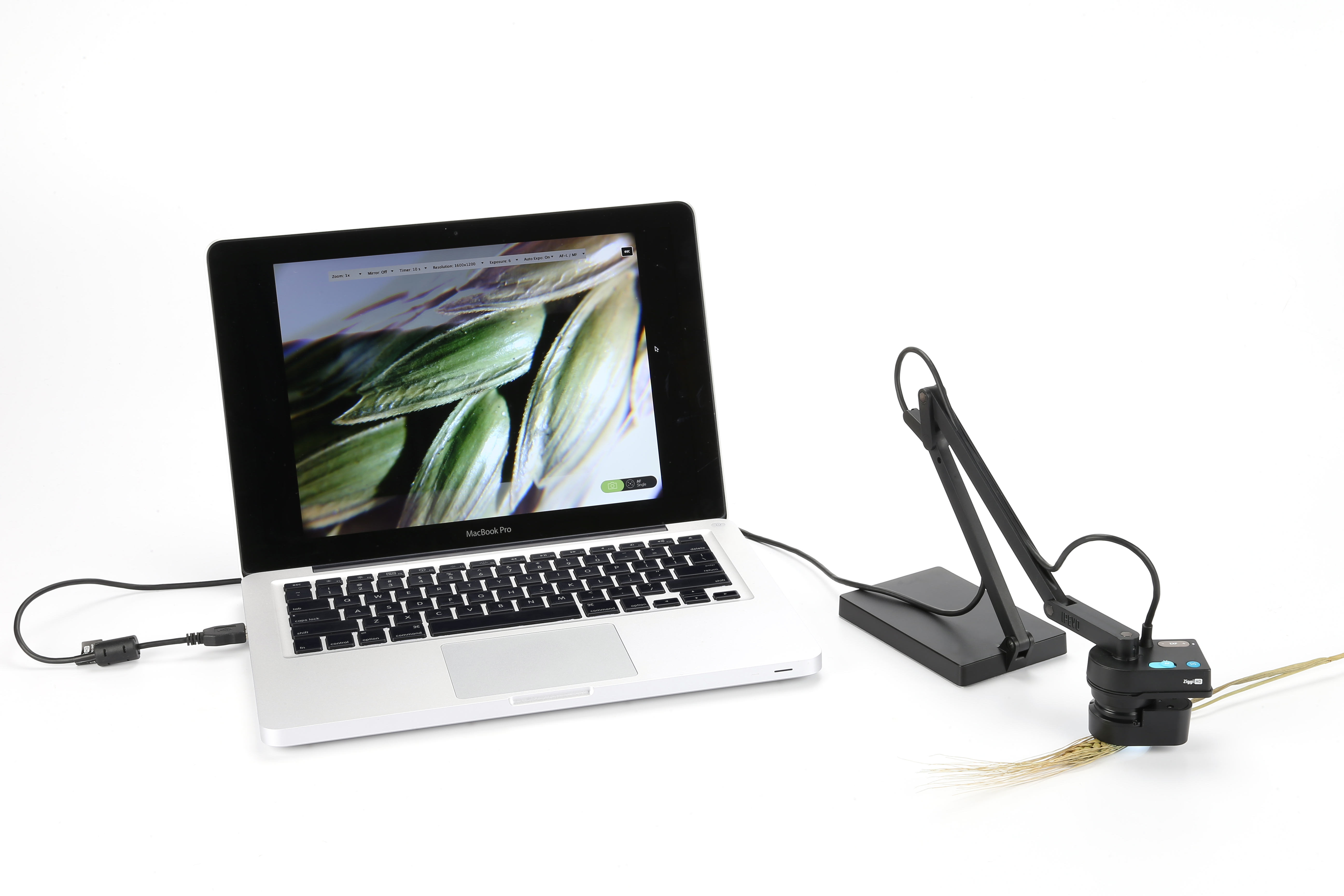 IPEVO Design for Learning