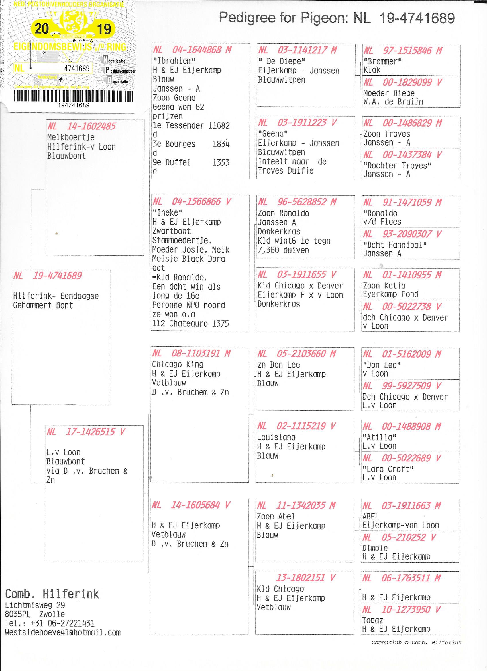 Equine Pedigree Query - uf9xtqw