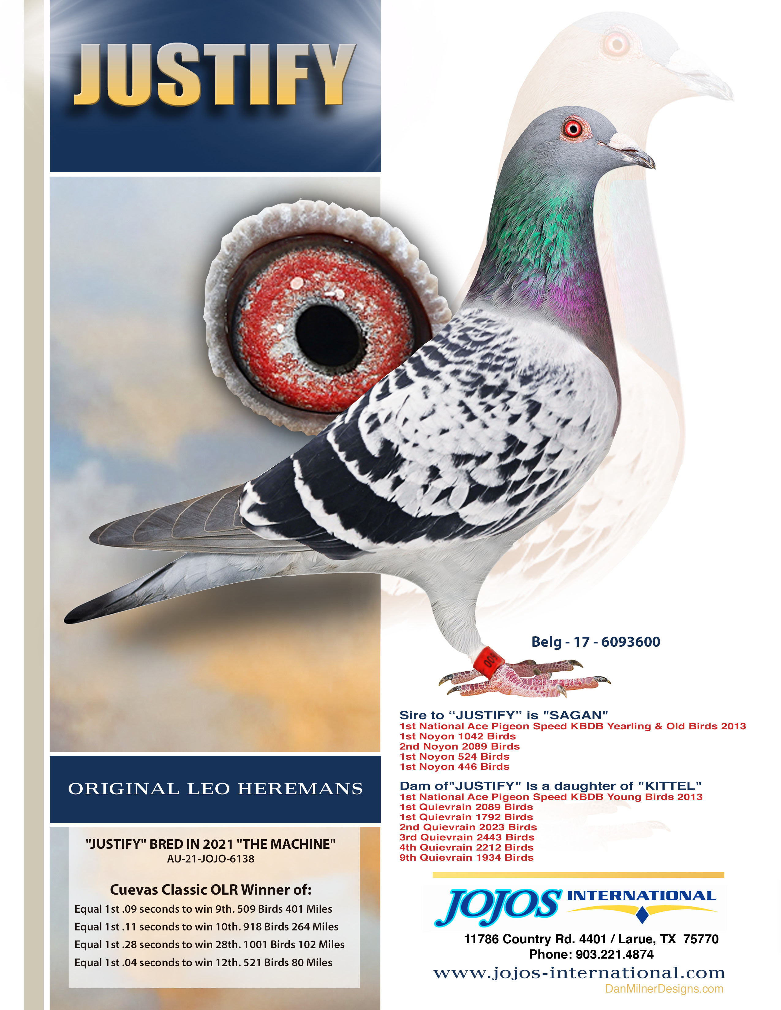 Racing Pigeon Auction