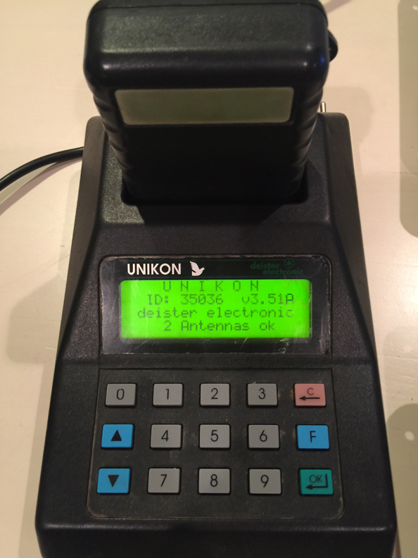 Racing Pigeon Auction