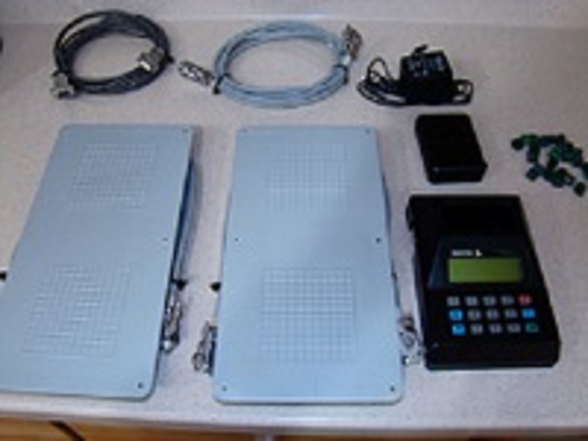 Racing Pigeon Auction