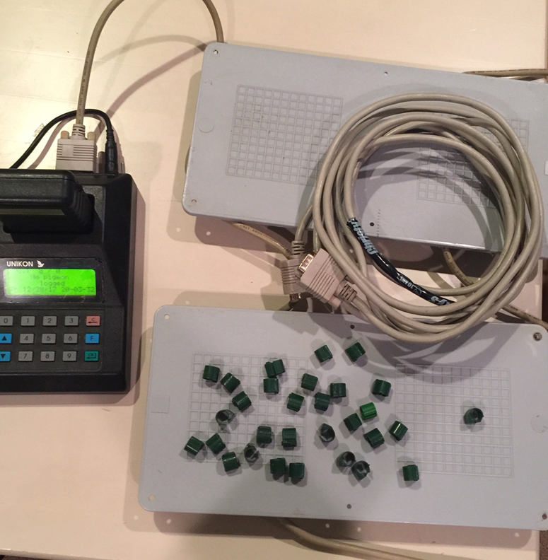 Racing Pigeon Auction