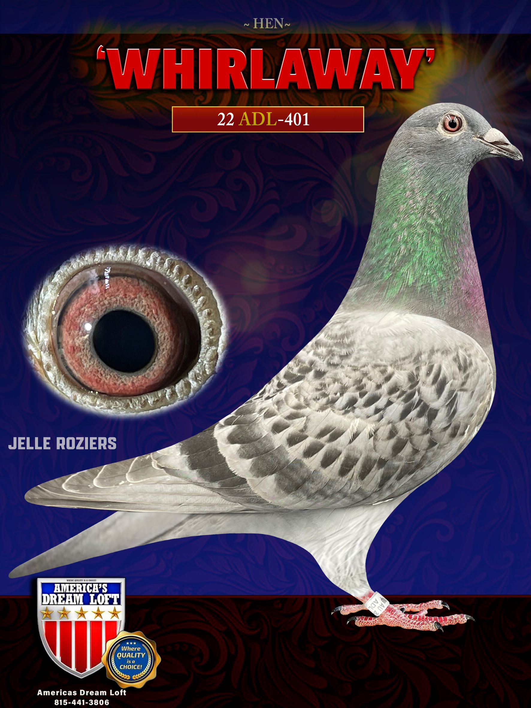 Racing Pigeon Auction