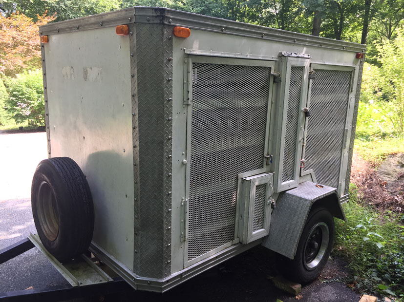 Racing Pigeon Auction