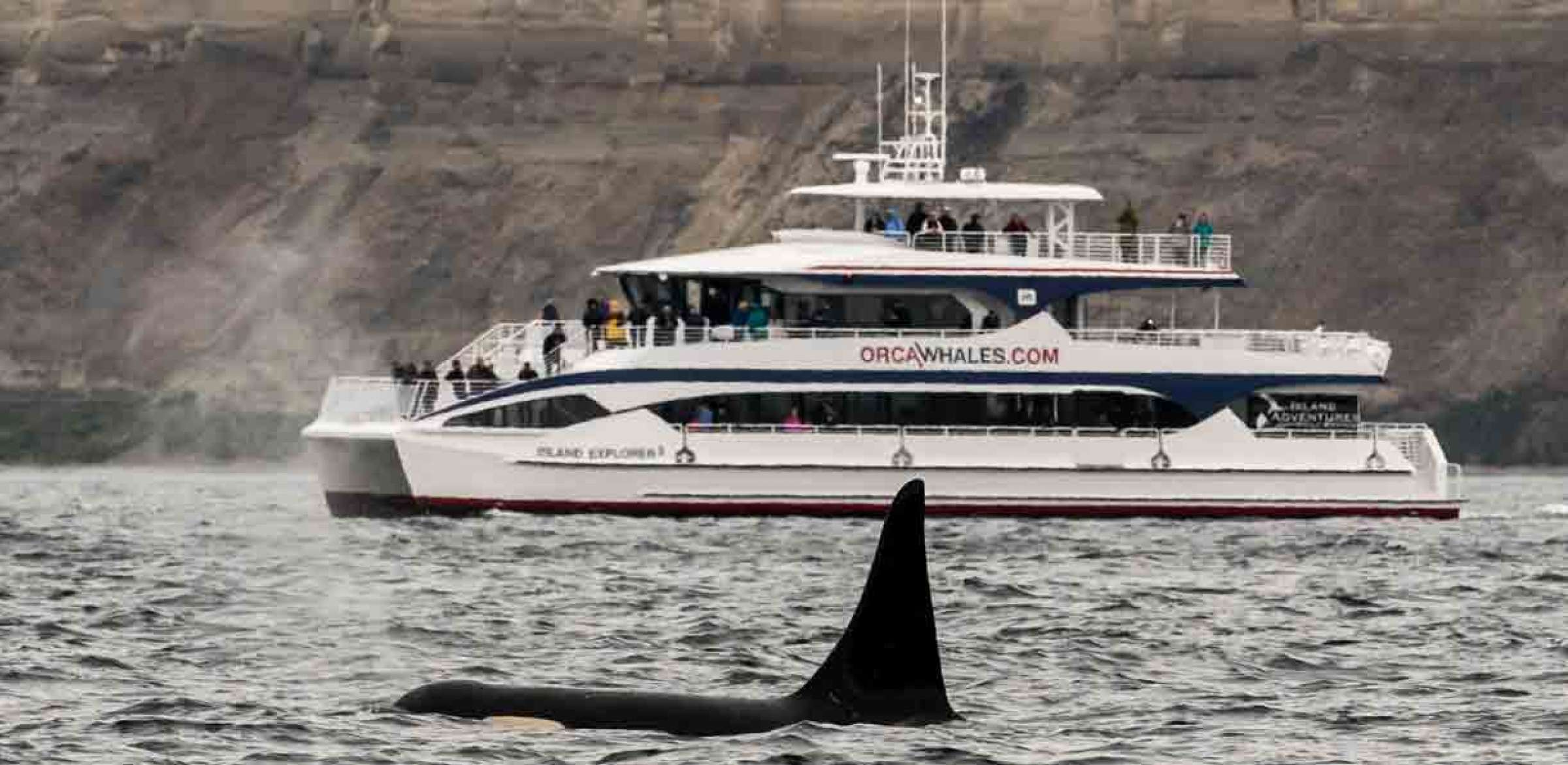 Best Orca Whale Watch Vessel in Seattle Gallery Island Adventures