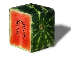 Tasty Melon Of California To Grow Japanese Square Watermelons