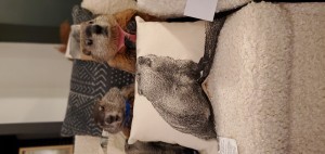 Poppy and Elliott with Poppy Pillow