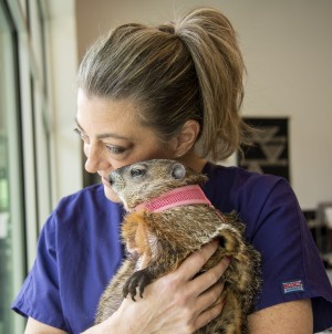 Poppy and her handler Betsy