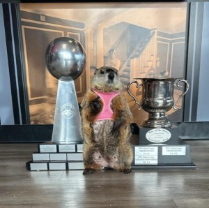 Poppy and Lancaster Barnstormer Trophies