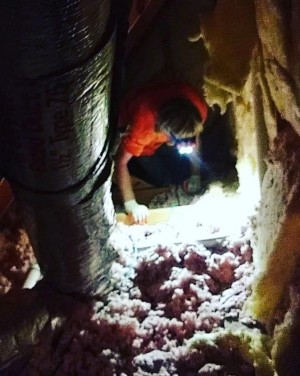 Technology Training for Everyone: Ex-Offenders Included