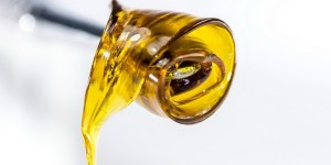 Metworld DMCC Bioscience and the Jackson Laboratory Collaboration Enables Global Access to FATZO