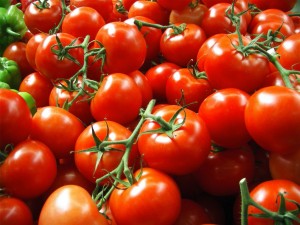 YUMMY TOMATO Launches 