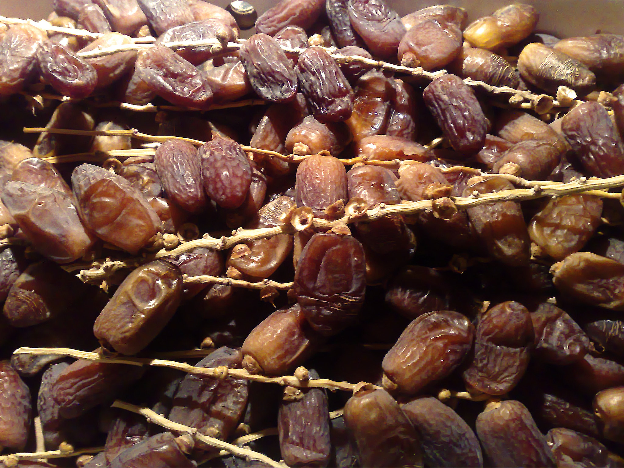 California Date Growers Association Encourages Consumers to Celebrate