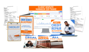 Credit Repair Consultant