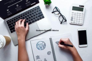 Gustavo Guzman Mexico