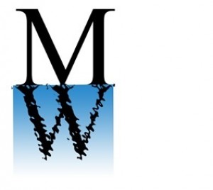 Digital Investigation Specialists