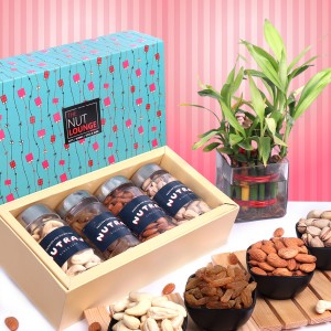 Nutraj Old School Love - Valentine Gift Box