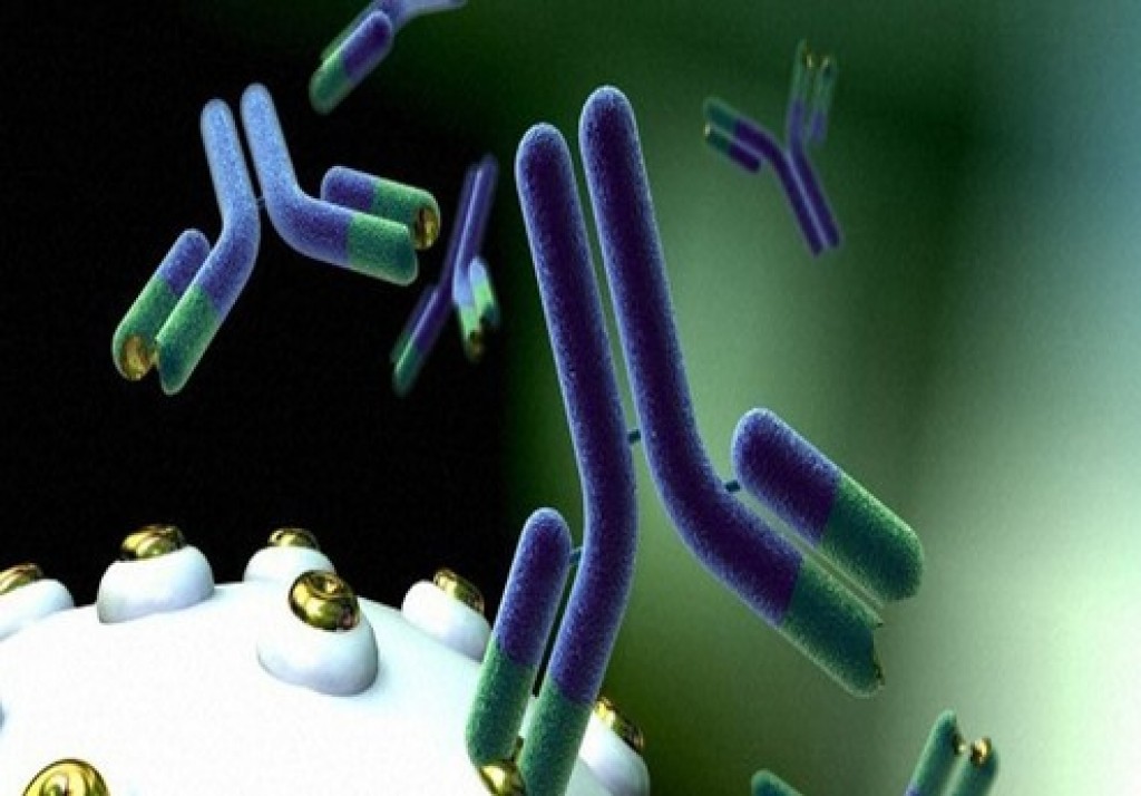 Monoclonal Antibody Therapeutics Monoclonal Antibody Therapeutics