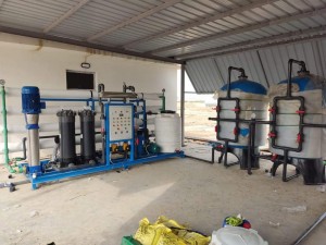 FB IMG 1672016045255