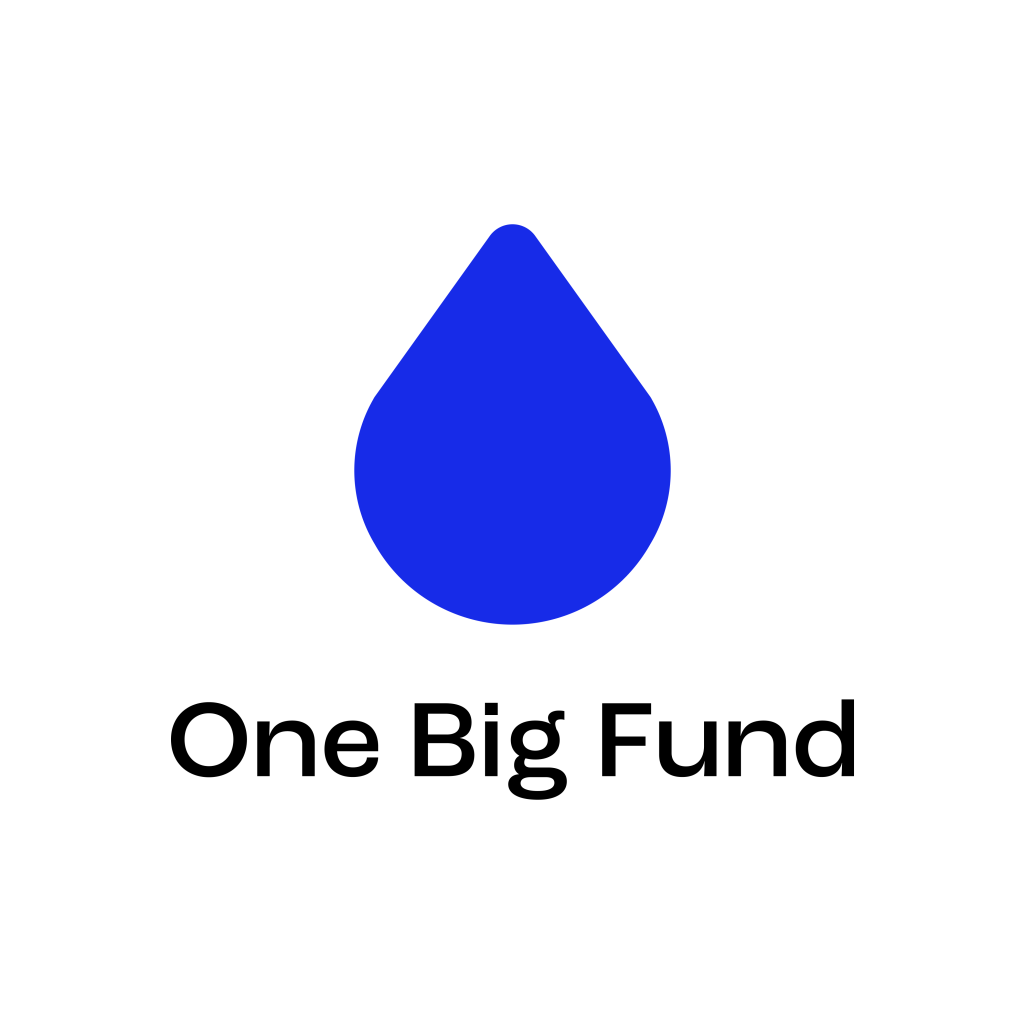 one-big-fund-establishes-new-investment-fund-to-capitalize-on-emerging