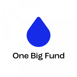 One Big Fund Logo
