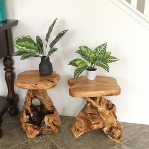 Cedar Roots Stand