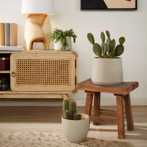 Wood Stools - Decorating with plants