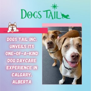 Dogs Tail Inc.