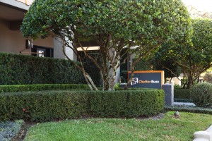 Poised For Growth, Chatter Buzz HQ Moves To The Heart of Downtown Orlando