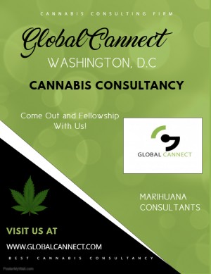 Cannabis Consulting Services in Washington DC