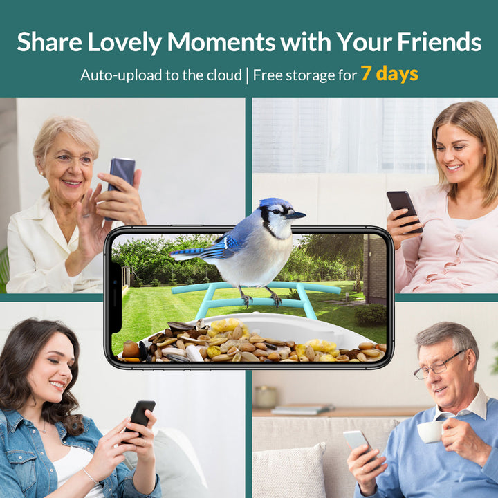 Revolutionize Your Bird Watching Experience with Birdfy Smart Feeder