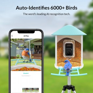 Birdfy AI function
