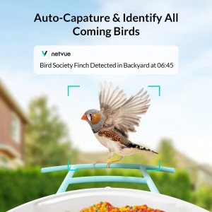 Birdfy Capture