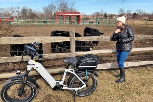 Long range electric bikes