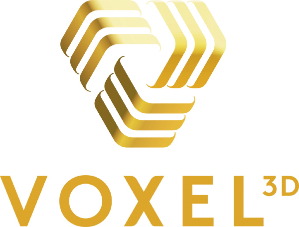 Logo Voxel 3D Logo Voxel 3D