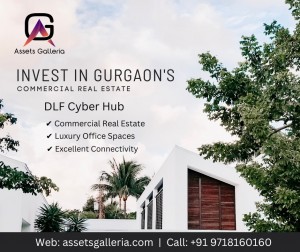 321972659 991562101818317 1841798549213696067 n