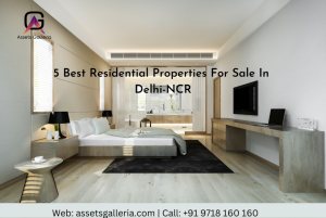 Assets Galleria Best Real Estate Company in Delhi NCR 5 1024x683